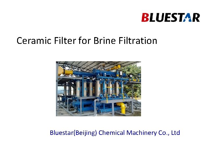 Ceramic Filter for Brine Filtration Bluestar(Beijing) Chemical Machinery Co. , Ltd 