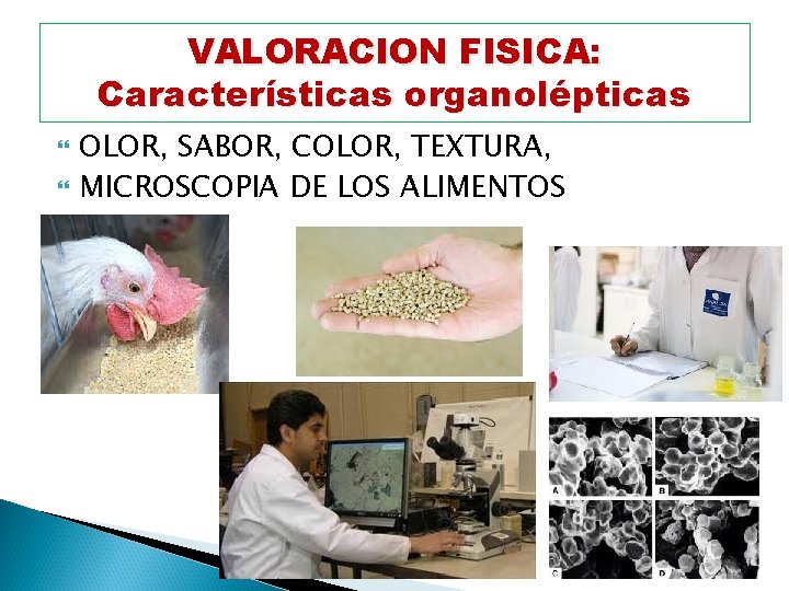 VALORACION FISICA: Características organolépticas OLOR, SABOR, COLOR, TEXTURA, MICROSCOPIA DE LOS ALIMENTOS 