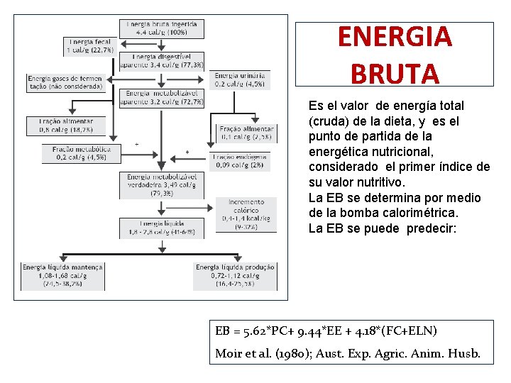 ENERGIA BRUTA Es el valor de energía total (cruda) de la dieta, y es