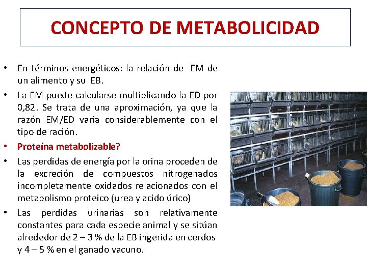 CONCEPTO DE METABOLICIDAD • En términos energéticos: la relación de EM de un alimento