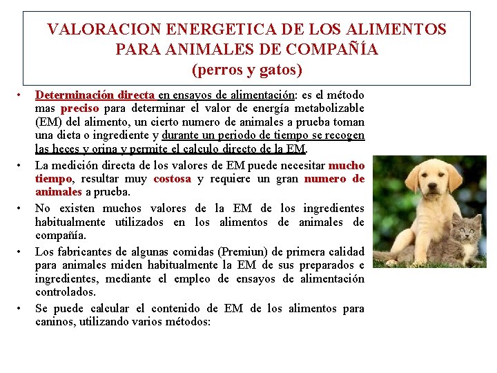 VALORACION ENERGETICA DE LOS ALIMENTOS PARA ANIMALES DE COMPAÑÍA (perros y gatos) • •