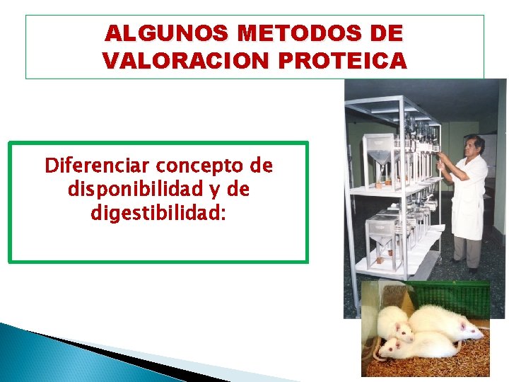 ALGUNOS METODOS DE VALORACION PROTEICA Diferenciar concepto de disponibilidad y de digestibilidad: 