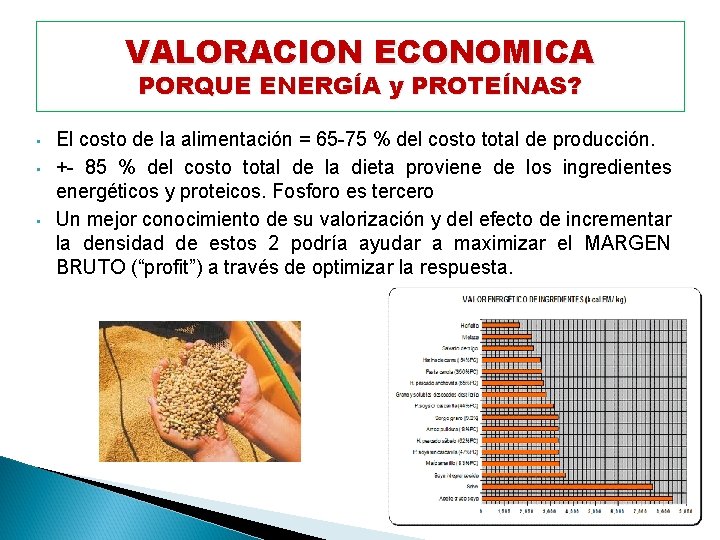 VALORACION ECONOMICA PORQUE ENERGÍA y PROTEÍNAS? • • • El costo de la alimentación