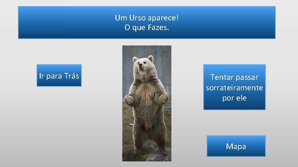 Um Urso aparece! O que Fazes. Ir para Trás Tentar passar sorrateiramente por ele