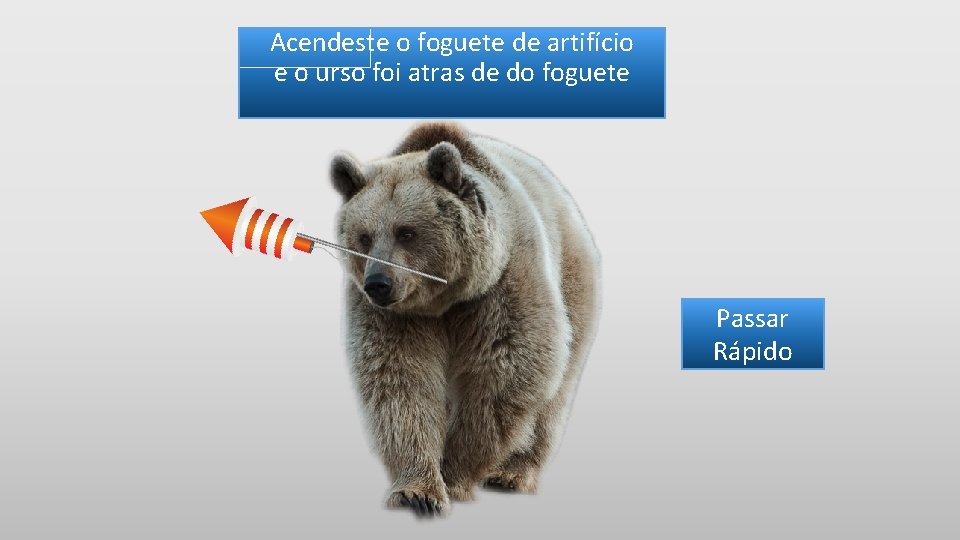 Acendeste o foguete de artifício e o urso foi atras de do foguete Passar