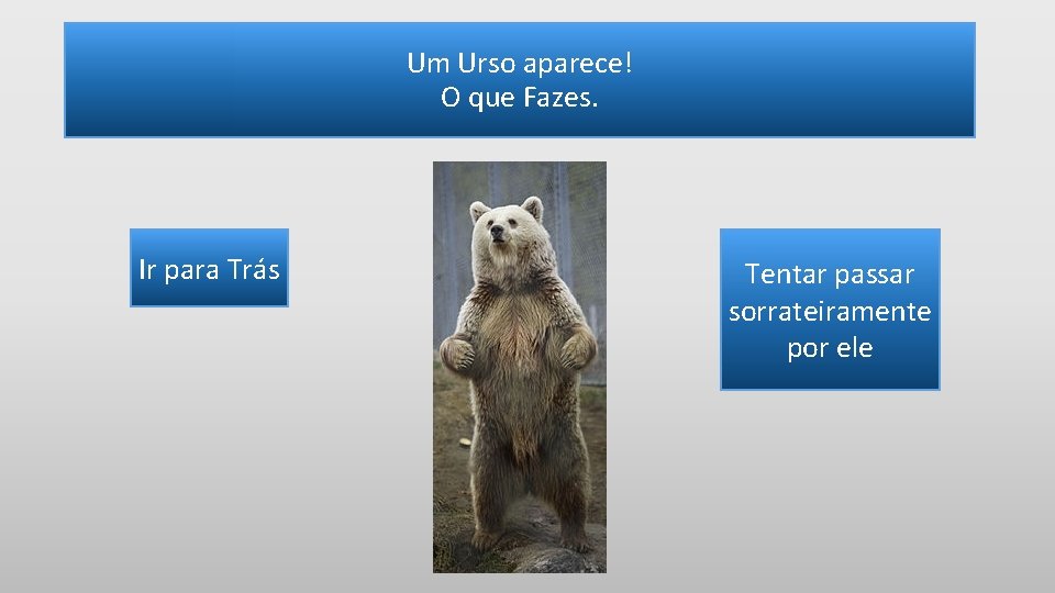 Um Urso aparece! O que Fazes. Ir para Trás Tentar passar sorrateiramente por ele