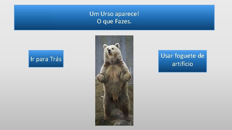 Um Urso aparece! O que Fazes. Ir para Trás Usar foguete de artifício 