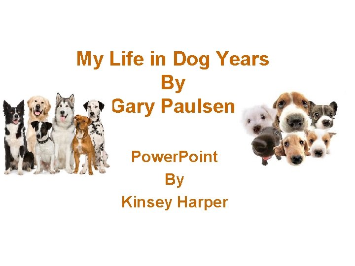 My Life in Dog Years By Gary Paulsen Power. Point By Kinsey Harper 