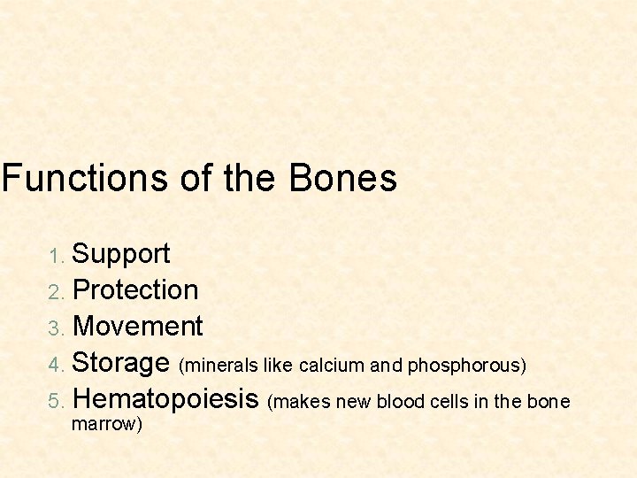 Functions of the Bones 1. Support 2. Protection 3. Movement 4. Storage (minerals like