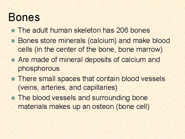 Bones n n n The adult human skeleton has 206 bones Bones store minerals