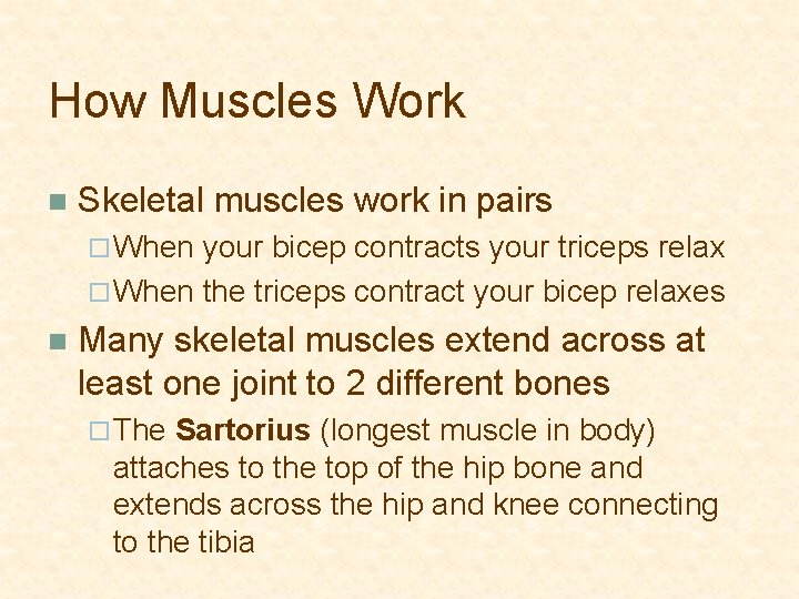 How Muscles Work n Skeletal muscles work in pairs ¨ When your bicep contracts