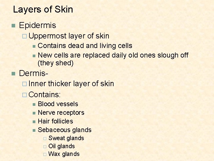 Layers of Skin n Epidermis ¨ Uppermost layer of skin Contains dead and living