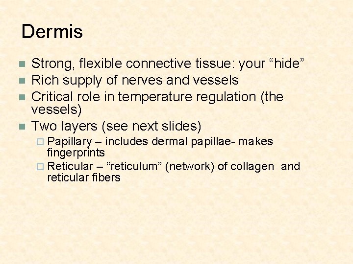 Dermis n n Strong, flexible connective tissue: your “hide” Rich supply of nerves and