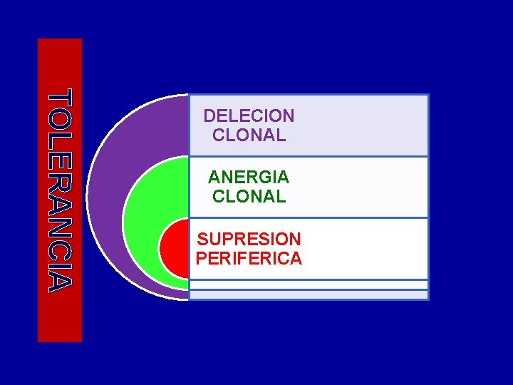 TOLERANCIA DELECION CLONAL ANERGIA CLONAL SUPRESION PERIFERICA 