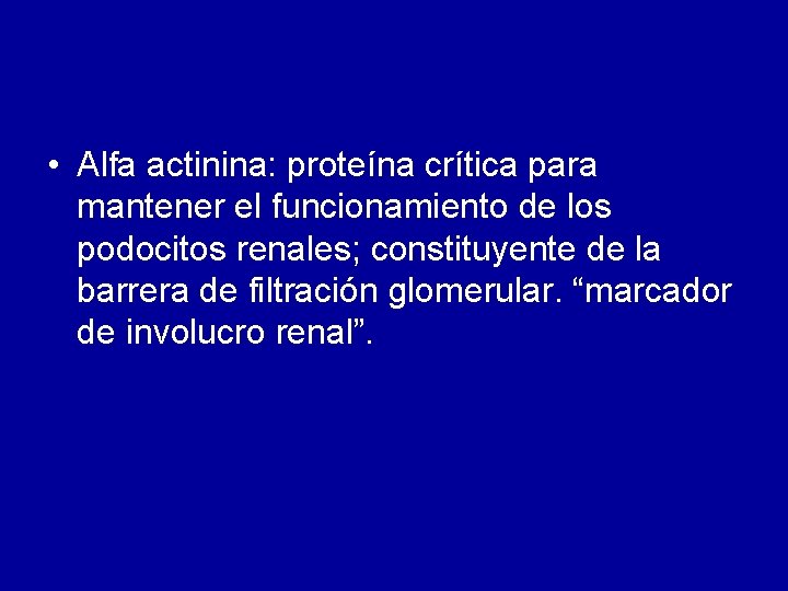  • Alfa actinina: proteína crítica para mantener el funcionamiento de los podocitos renales;