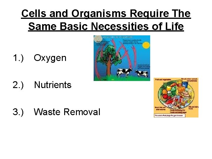 Cells and Organisms Require The Same Basic Necessities of Life 1. ) Oxygen 2. Cells and Organisms Require The Same Basic Necessities of Life 1. ) Oxygen 2.