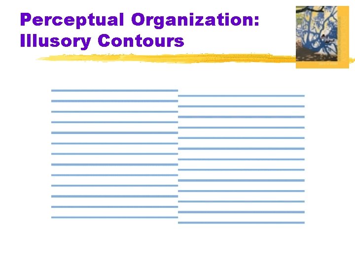 Perceptual Organization: Illusory Contours 