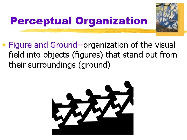 Perceptual Organization § Figure and Ground--organization of the visual field into objects (figures) that