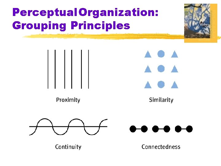 Perceptual. Organization: Grouping Principles 