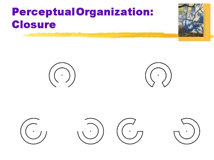 Perceptual. Organization: Closure § Gestalt grouping principles are at work here. 