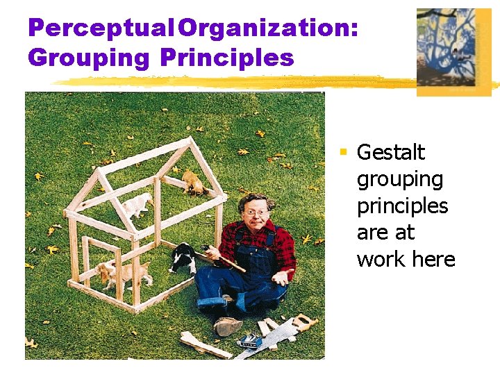 Perceptual. Organization: Grouping Principles § Gestalt grouping principles are at work here 