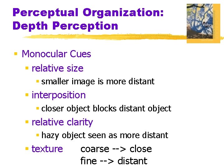 Perceptual Organization: Depth Perception § Monocular Cues § relative size § smaller image is