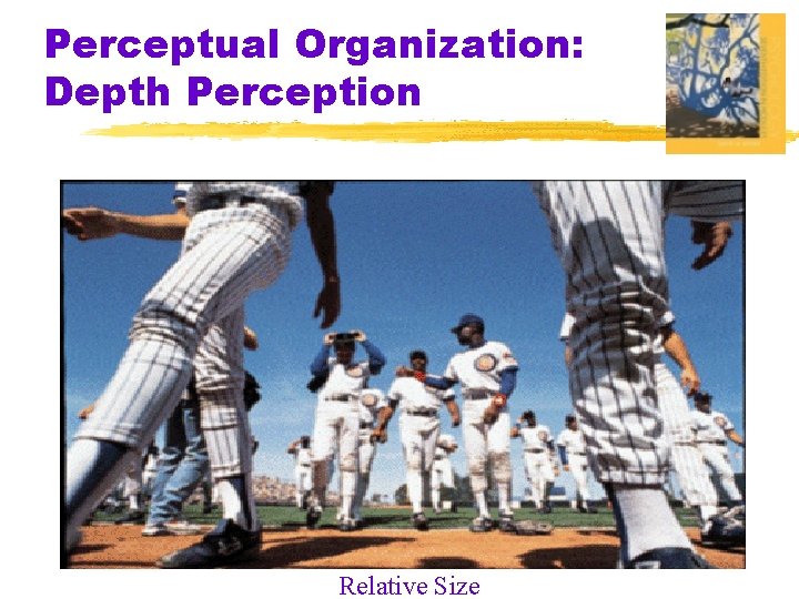 Perceptual Organization: Depth Perception Relative Size 