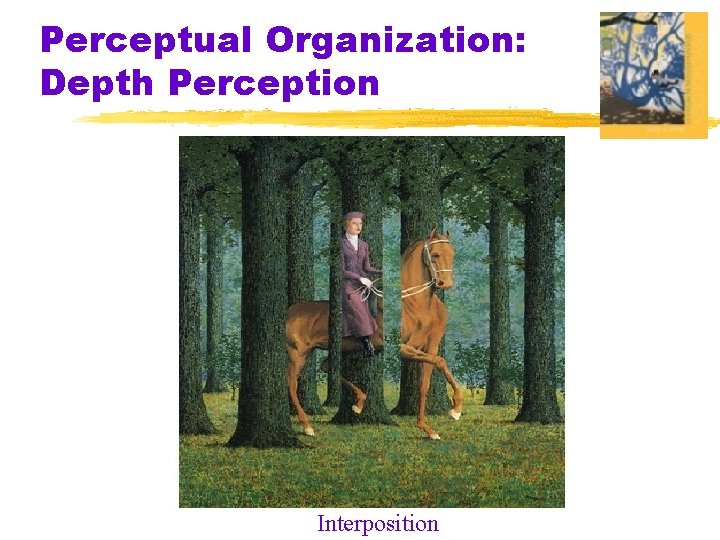 Perceptual Organization: Depth Perception Interposition 