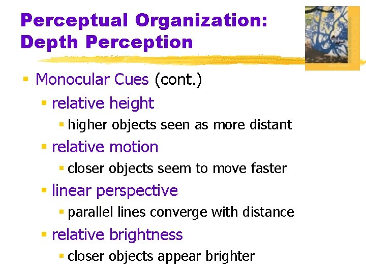 Perceptual Organization: Depth Perception § Monocular Cues (cont. ) § relative height § higher