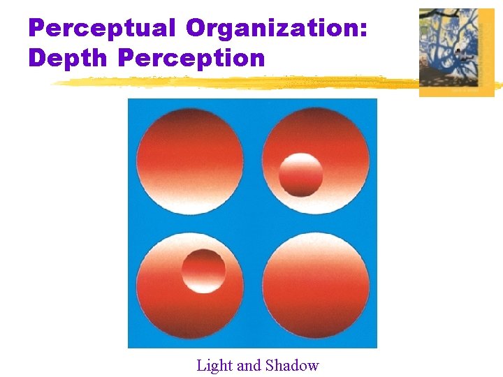 Perceptual Organization: Depth Perception Light and Shadow 