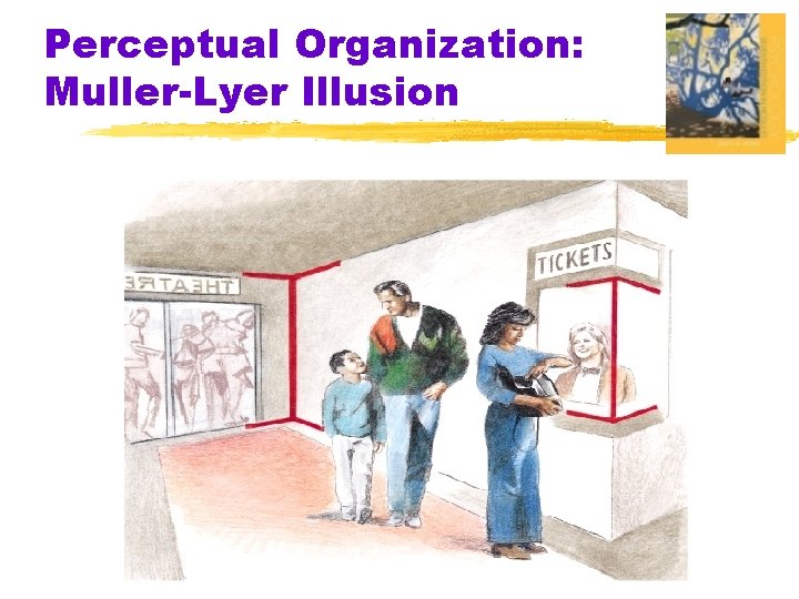 Perceptual Organization: Muller-Lyer Illusion 