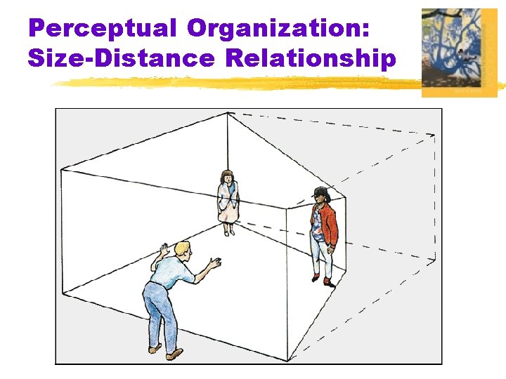 Perceptual Organization: Size-Distance Relationship 