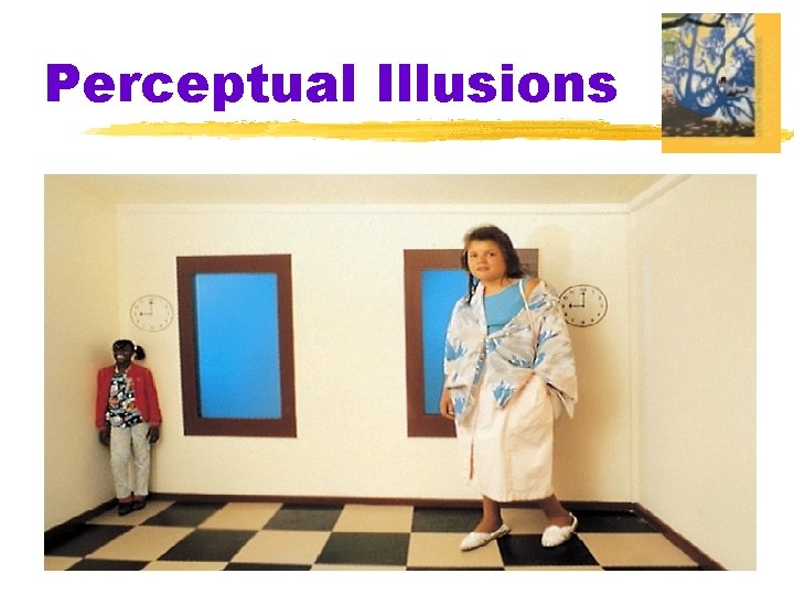 Perceptual Illusions 