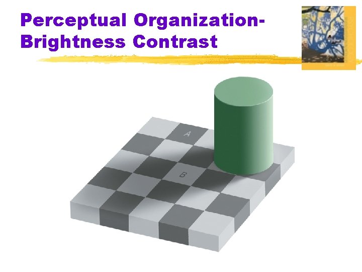 Perceptual Organization. Brightness Contrast 