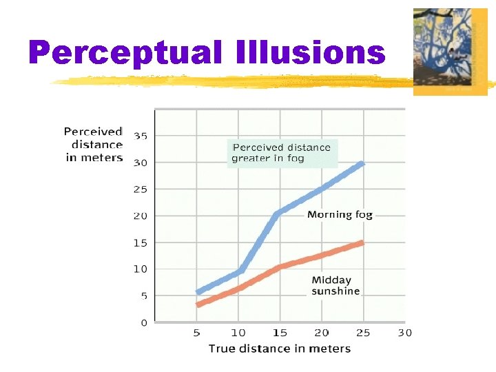 Perceptual Illusions 