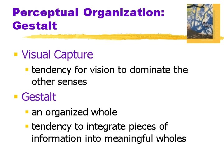 Perceptual Organization: Gestalt § Visual Capture § tendency for vision to dominate the other