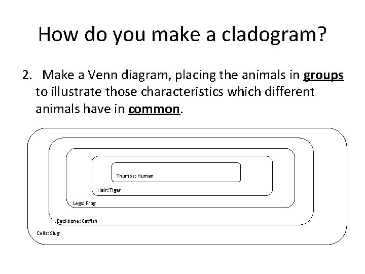 How do you make a cladogram? 2. Make a Venn diagram, placing the animals