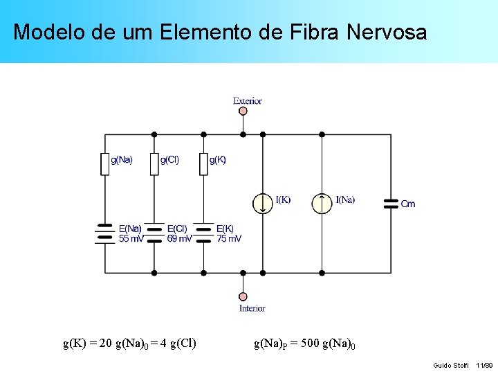 Modelo de um Elemento de Fibra Nervosa g(K) = 20 g(Na)0 = 4 g(Cl)