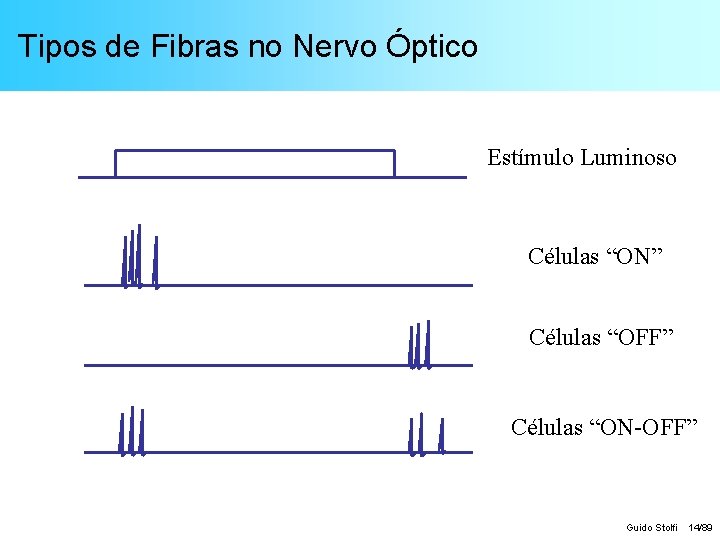 Tipos de Fibras no Nervo Óptico Estímulo Luminoso Células “ON” Células “OFF” Células “ON-OFF”