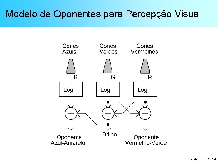 Modelo de Oponentes para Percepção Visual Guido Stolfi 21/89 