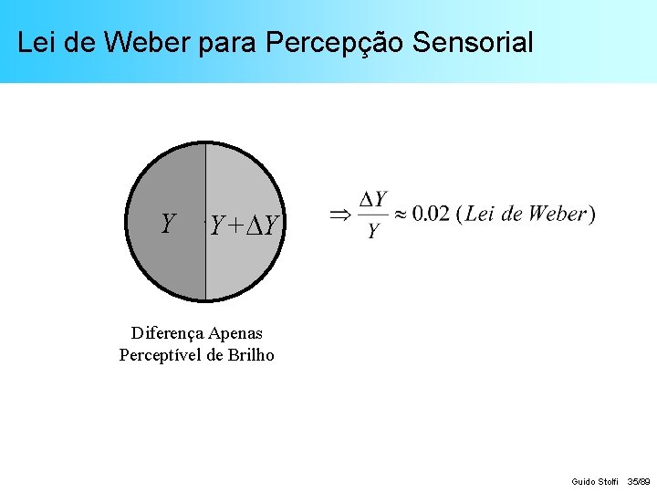 Lei de Weber para Percepção Sensorial Y Y+ Y Diferença Apenas Perceptível de Brilho