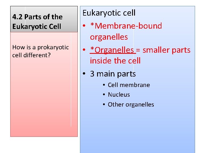 4. 2 Parts of the Eukaryotic Cell How is a prokaryotic cell different? Eukaryotic