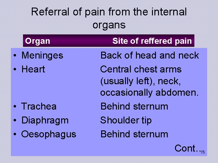 Referral of pain from the internal organs Organ Site of reffered pain • Meninges