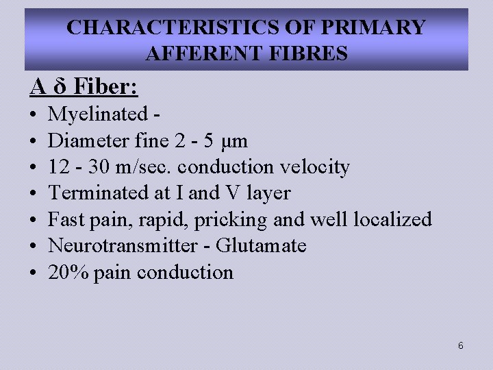 CHARACTERISTICS OF PRIMARY AFFERENT FIBRES A δ Fiber: • • Myelinated Diameter fine 2
