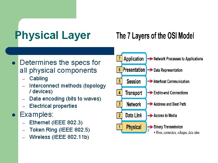 Physical Layer l Determines the specs for all physical components – – l Cabling