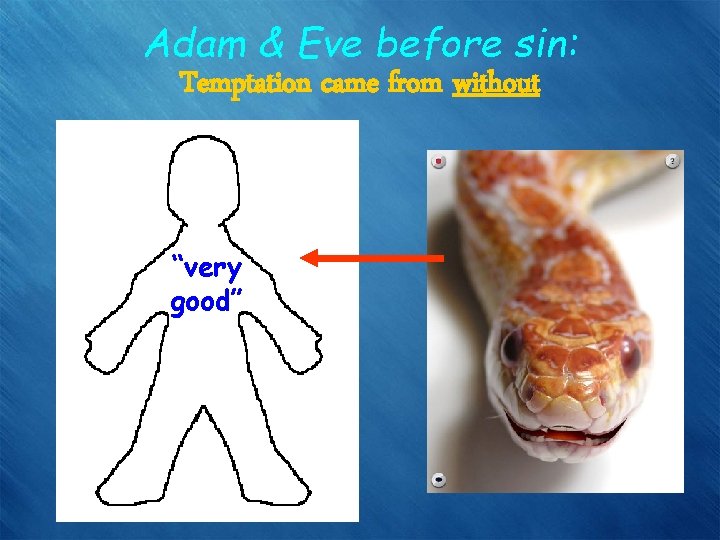 Adam & Eve before sin: Temptation came from without “very good” 