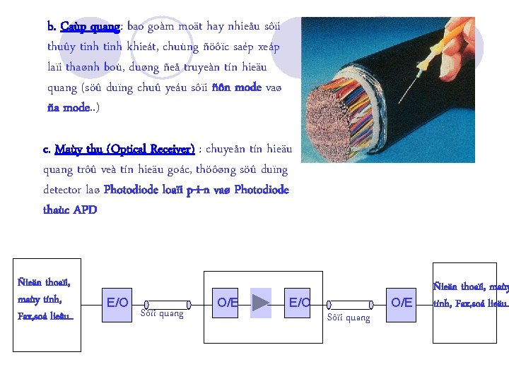 b. Caùp quang: bao goàm moät hay nhieåu sôïi thuûy tinh khieát, chuùng ñöôïc