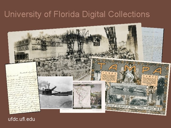 University of Florida Digital Collections ufdc. ufl. edu 