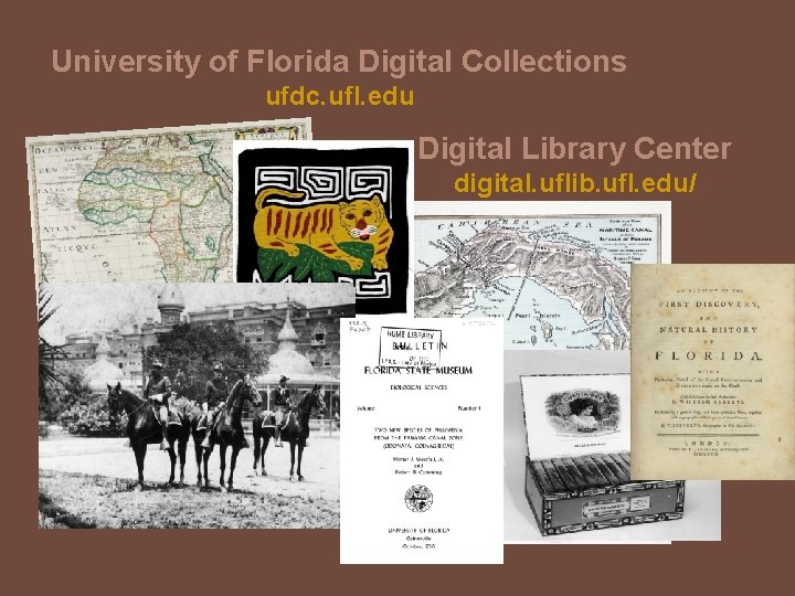 University of Florida Digital Collections ufdc. ufl. edu Digital Library Center digital. uflib. ufl.