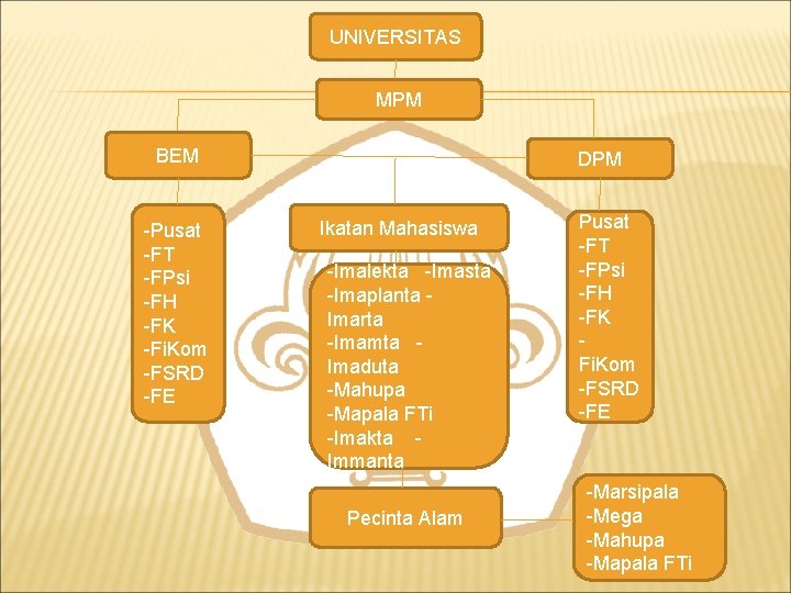 UNIVERSITAS MPM BEM -Pusat -FT -FPsi -FH -FK -Fi. Kom -FSRD -FE DPM Ikatan
